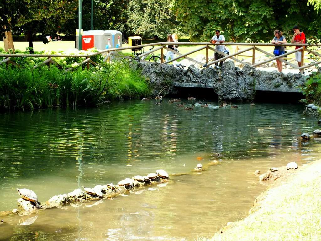 Sempione Parkı (Parco Sempione) ve Kaplumbağalar