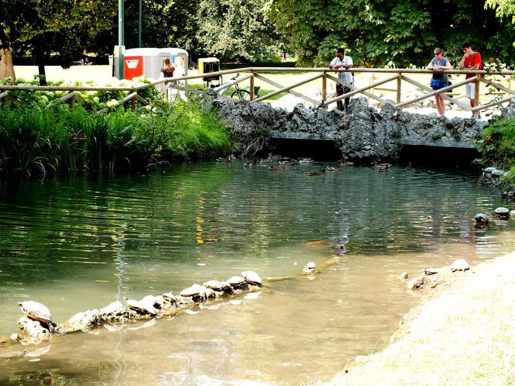Sempione Parkı (Parco Sempione) ve Kaplumbağalar