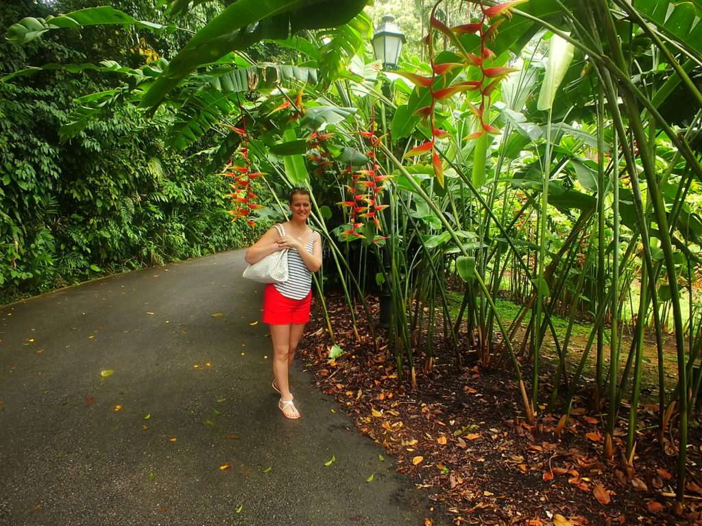 Ulusal Orkide Bahçesi (National Orchid Garden) yolunda