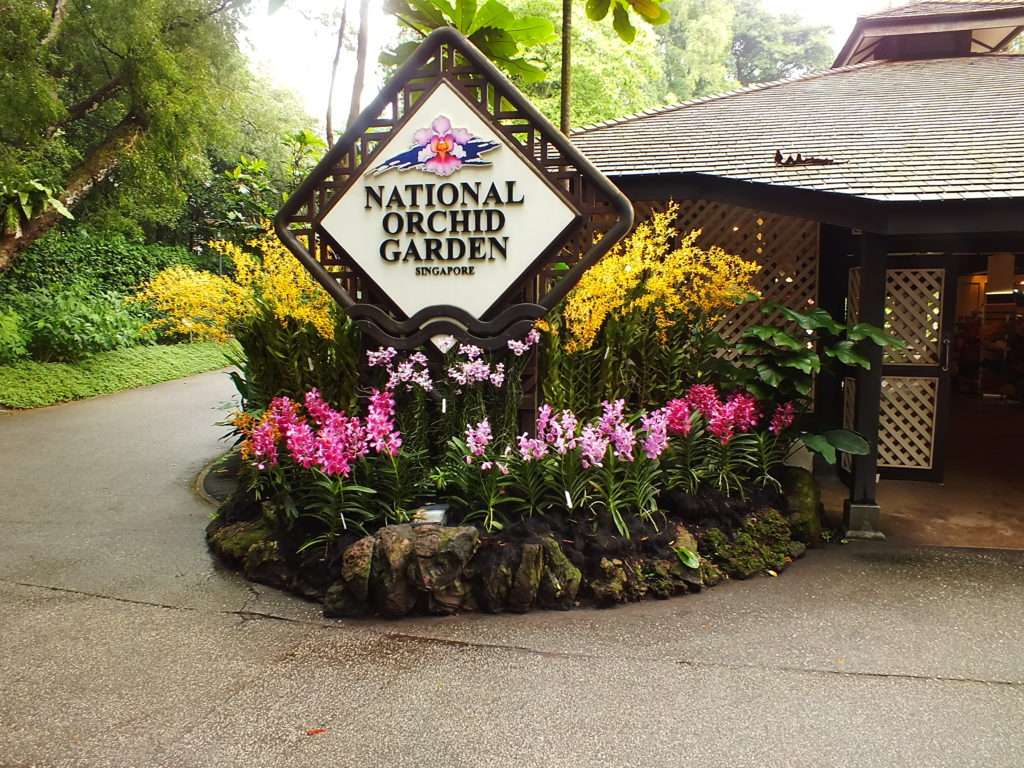 Ulusal Orkide Bahçesi (National Orchid Garden)