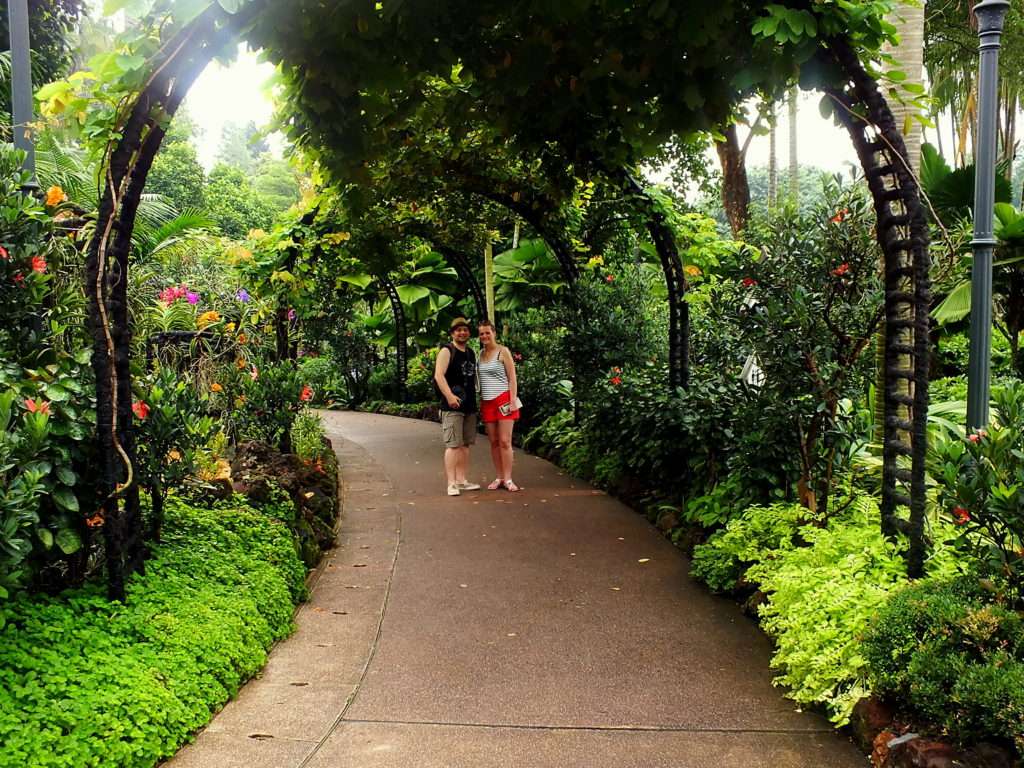 Singapur Botanik Bahçeleri (Singapore Botanic Gardens)
