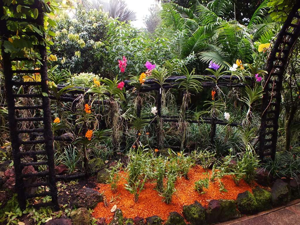 Ulusal Orkide Bahçesi (National Orchid Garden)
