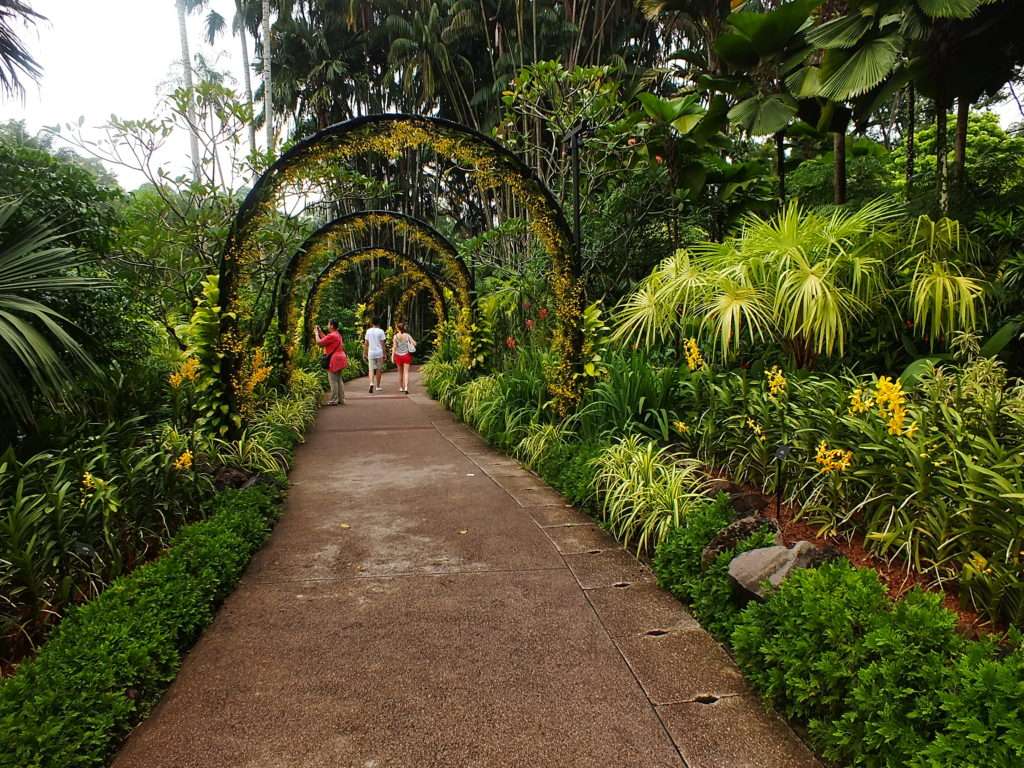 Singapur Botanik Bahçeleri (Singapore Botanic Gardens)