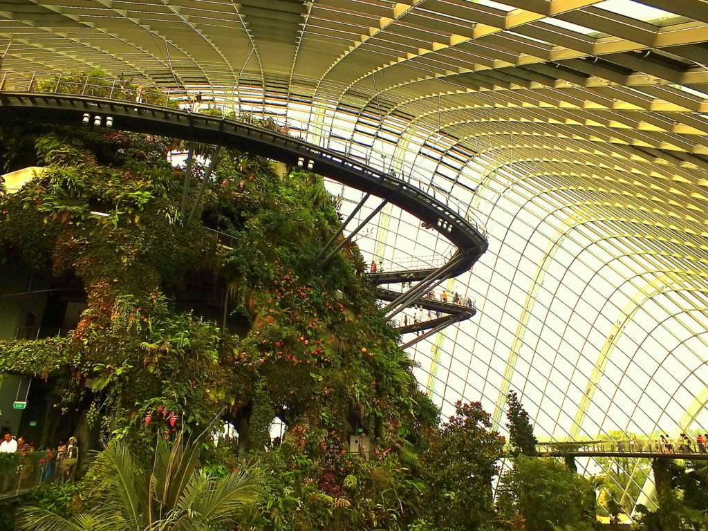 Cloud Forest (Yağmur Ormanı)(Cloud Mountain)