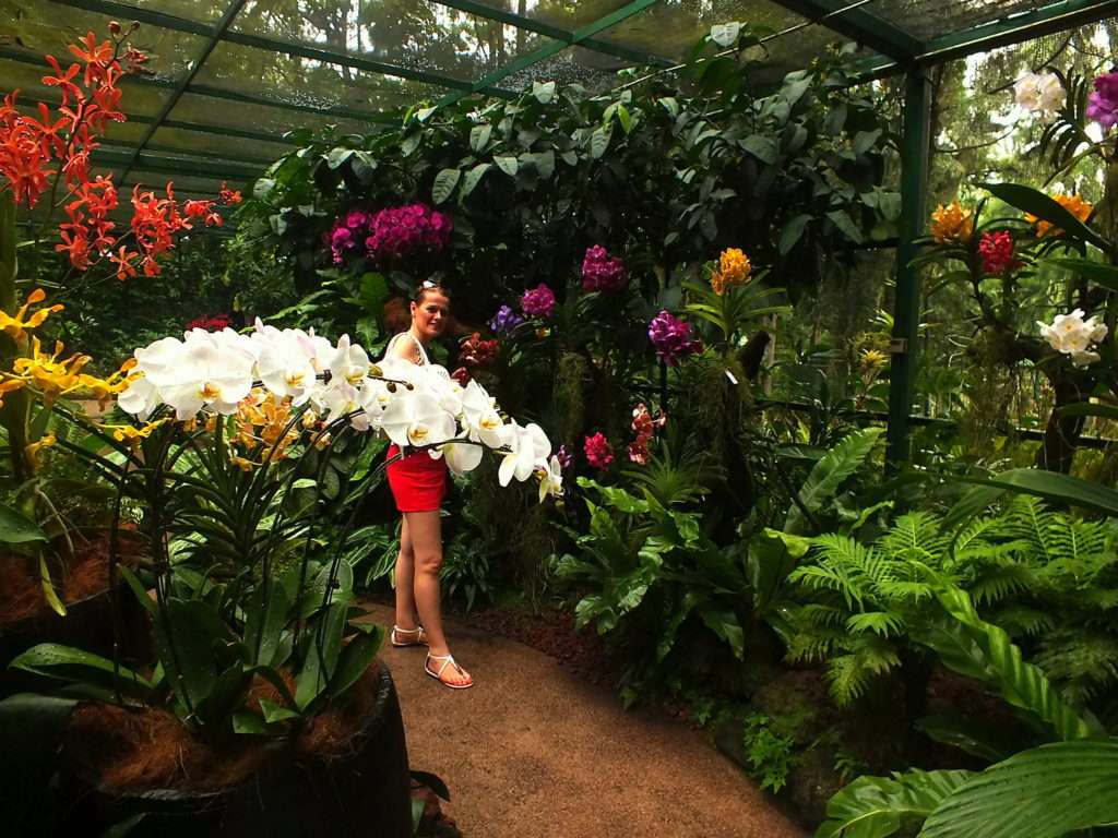 Ulusal Orkide Bahçesi (National Orchid Garden)