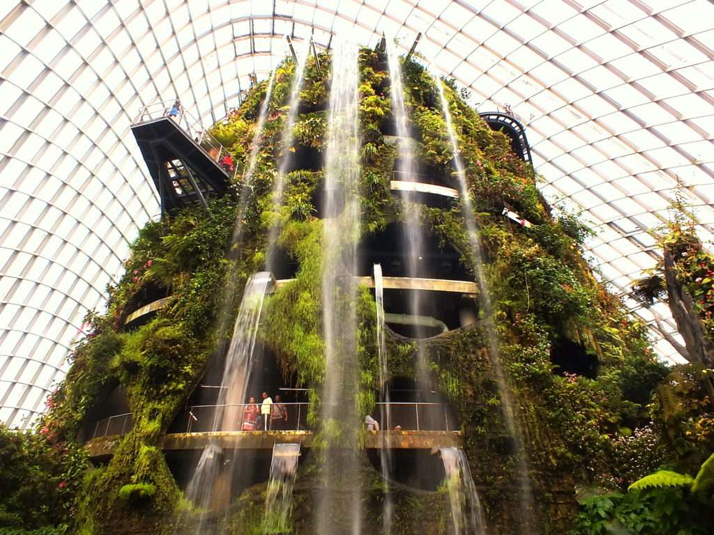 Singapur Gezisi Cloud Forest (Yağmur Ormanı)(Cloud Mountain)