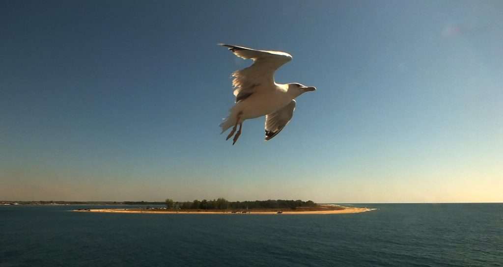 Keramoti-Limenas Feribot Yolculuğu Keramoti Plajları