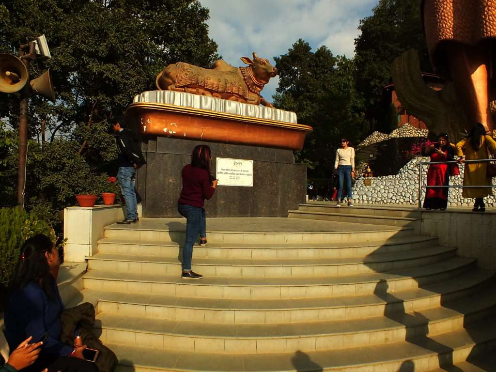 Nepal'de Yaşam Nandi Heykeli