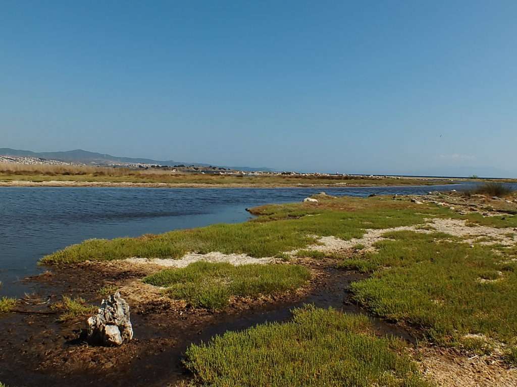 Teos Antik Limanı