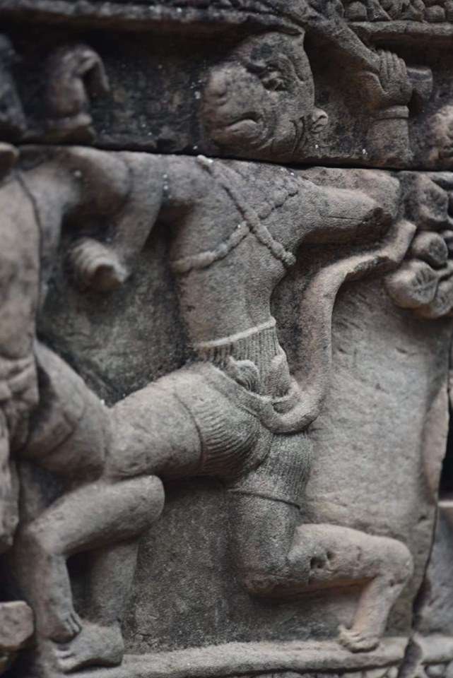 Ta Prohm Tapınağı