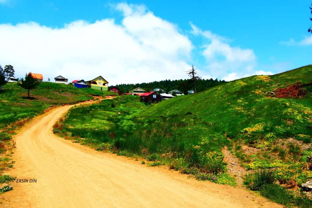 Yayla Yolu