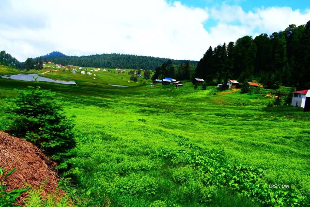 Sakarya Akyazı Turnalık Yaylası