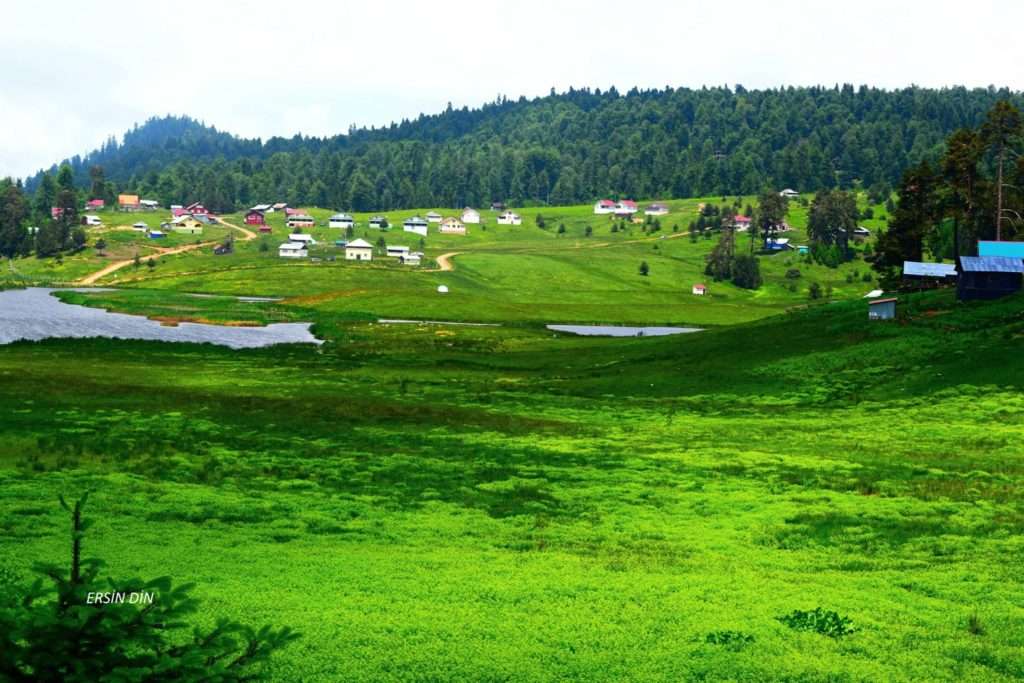 Sakarya Akyazı Turnalık Yaylası