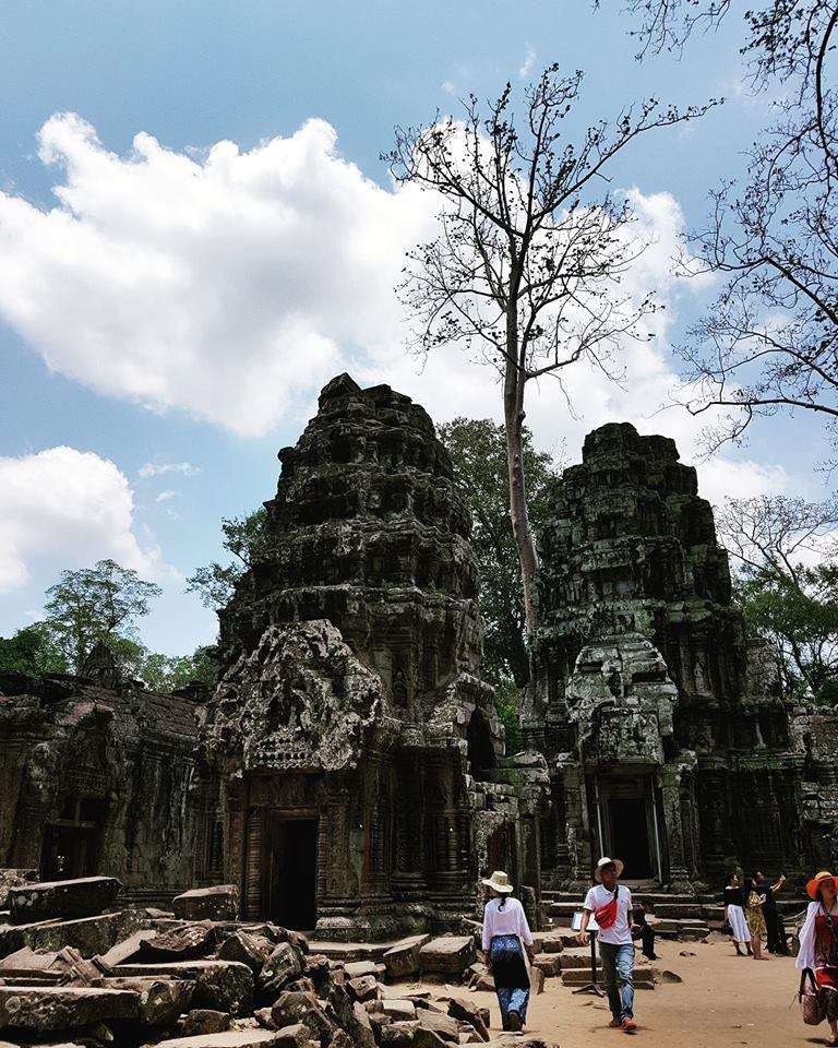 Ta Prohm Tapınağı