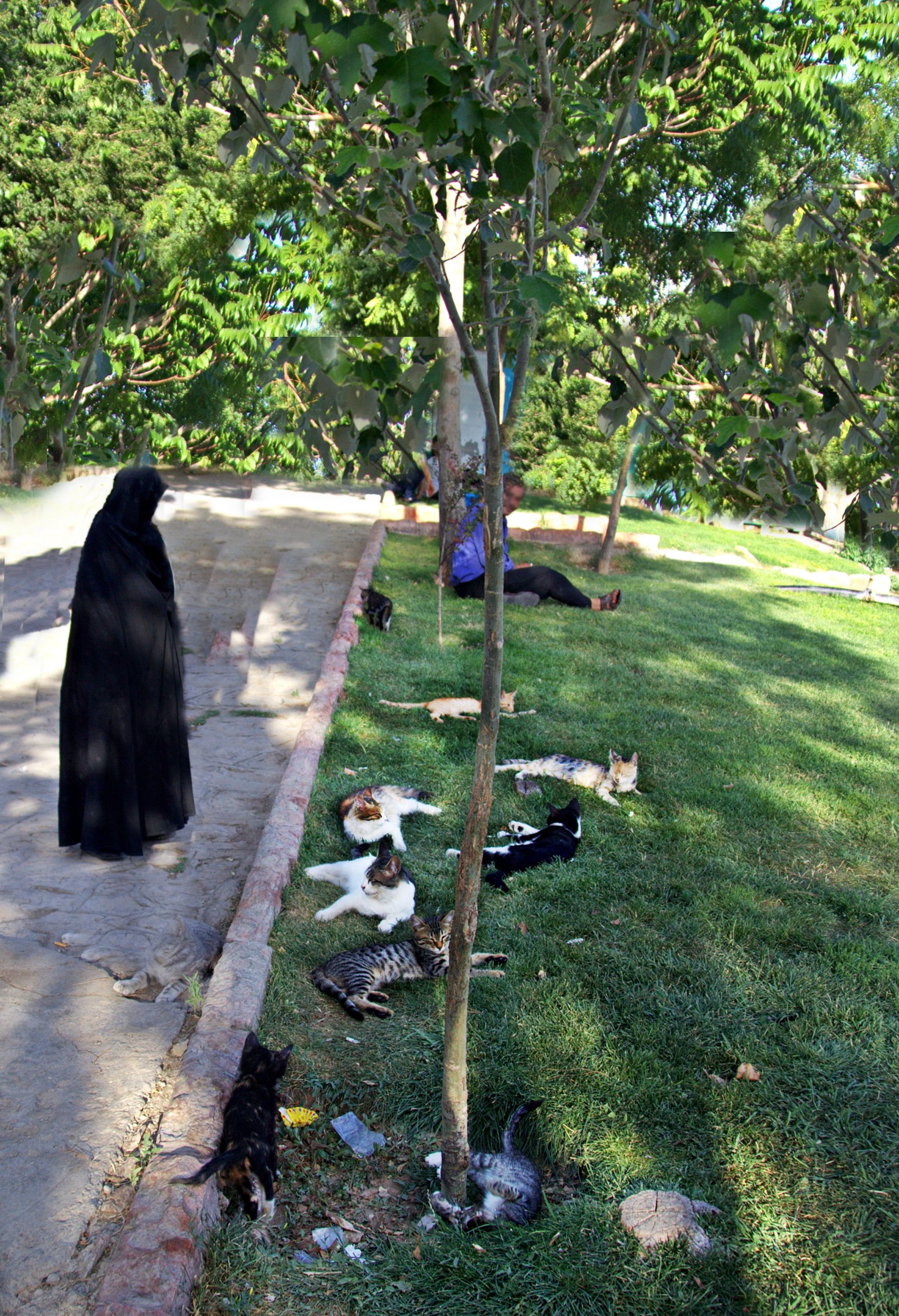 Şairler Mezarlığı Bahçesi-Tebriz