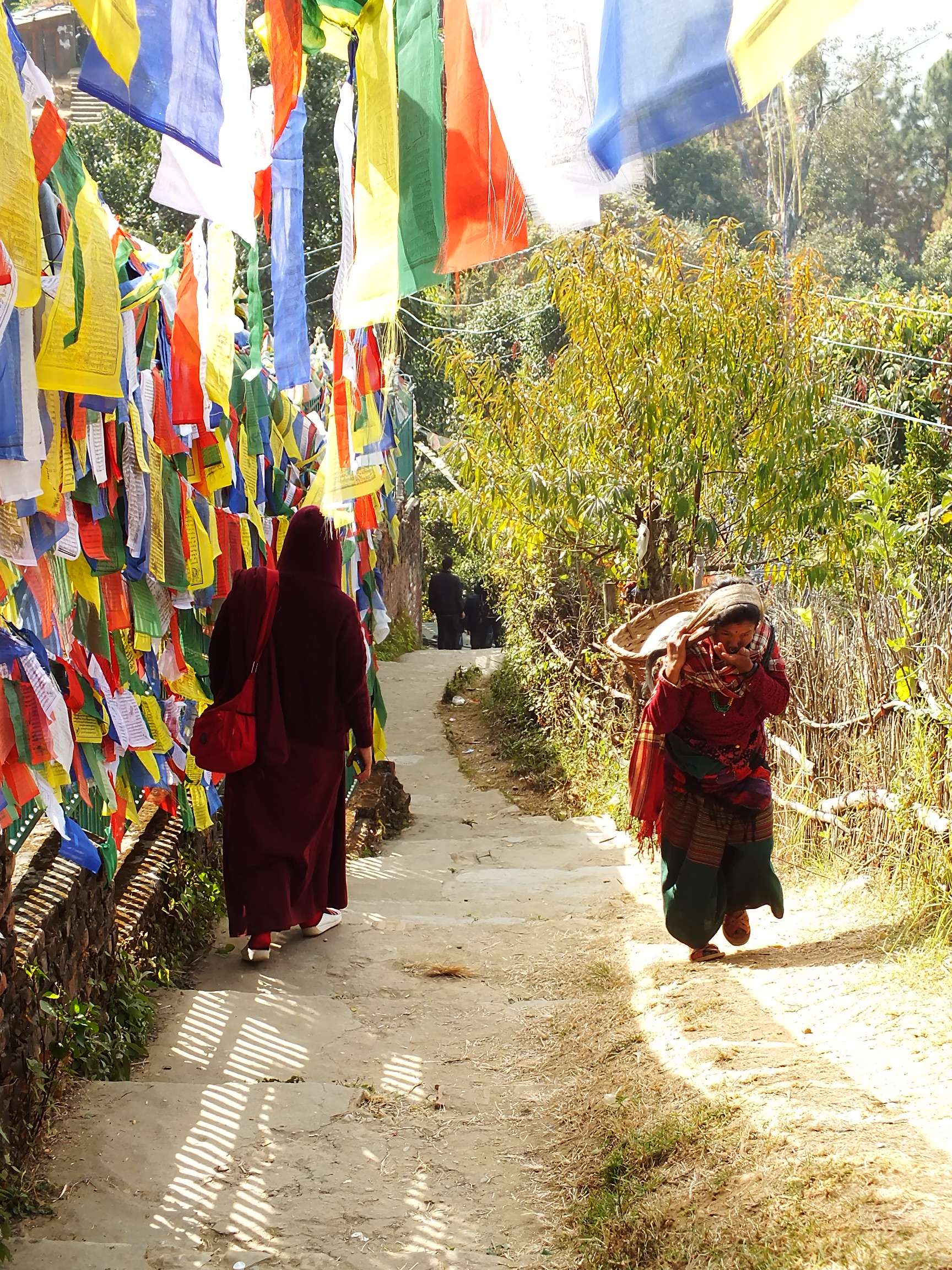 Namo Buddha Manastır Kompleksi
