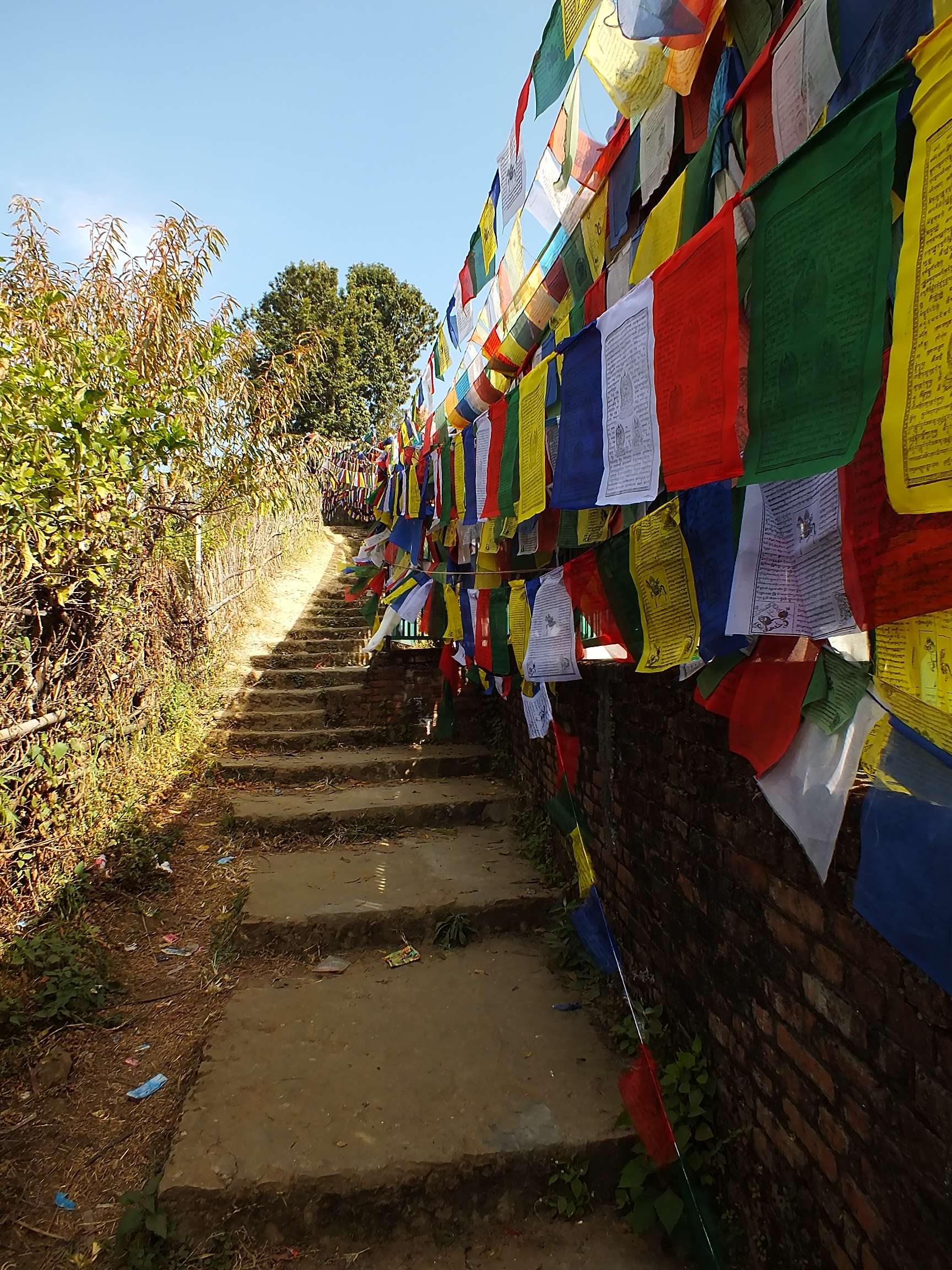 Namo Buddha Manastır Kompleksi