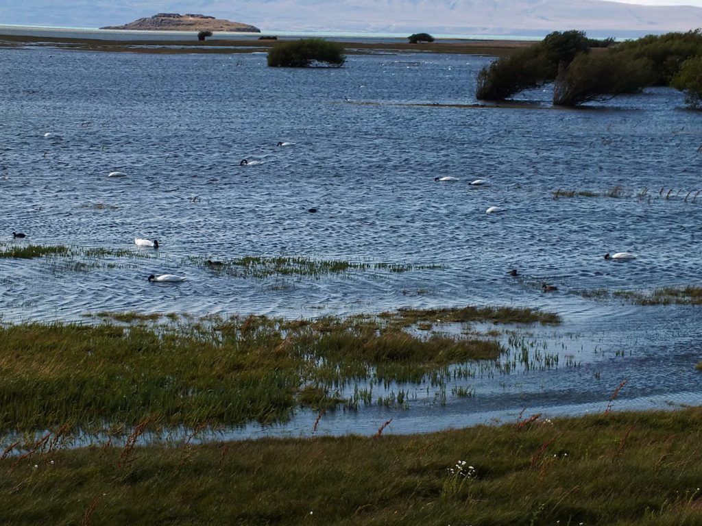 El Calafate Gezisi Reserva Laguna Nimez