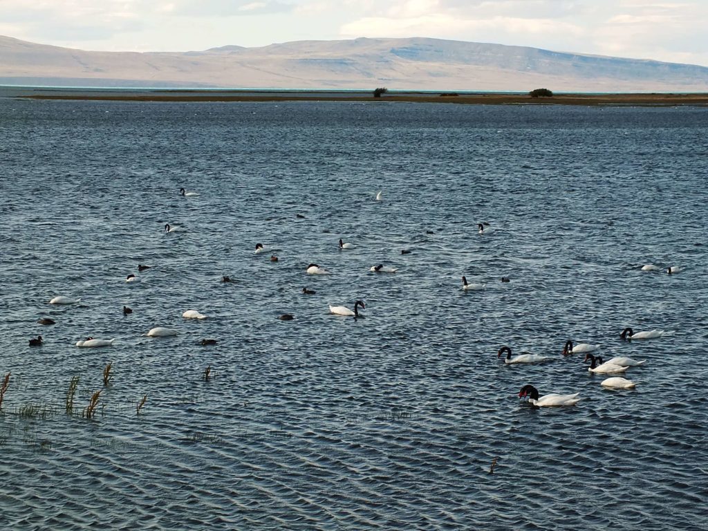 Lago Argentino El Calafate Gezisi