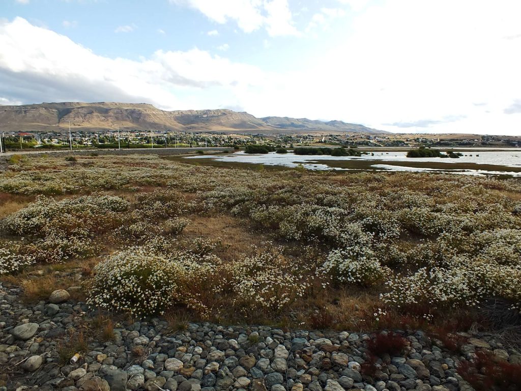 El Calafate Gezisi