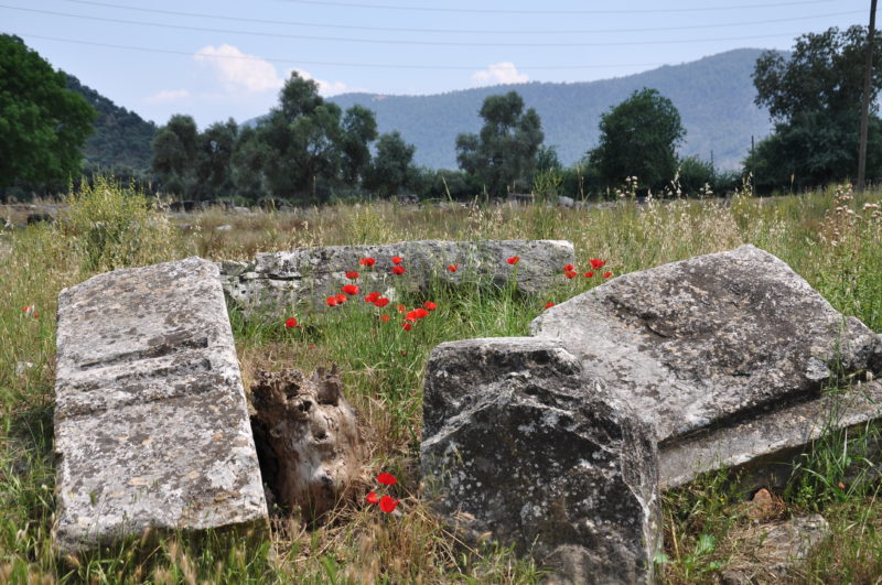 Euromos Antik Kenti Agora Kalıntıları