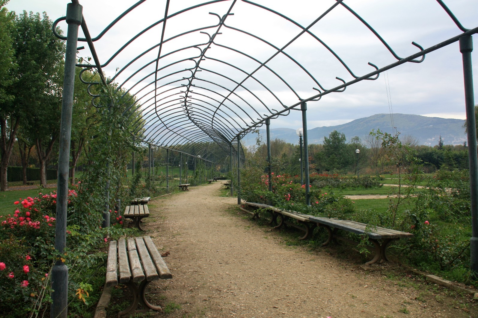 Bursa Soğanlı Botanik Parkı