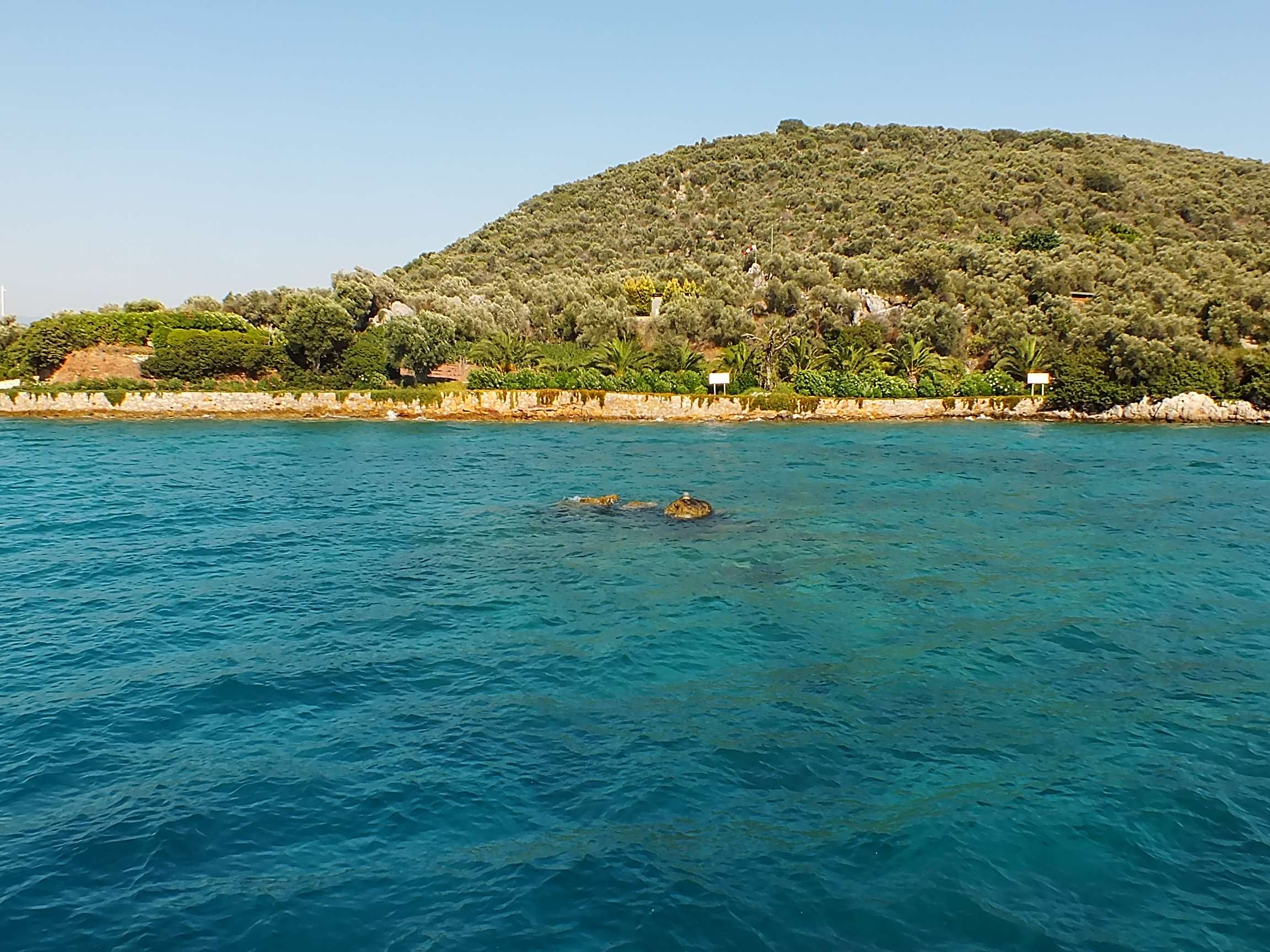 Hacı Halil Adası