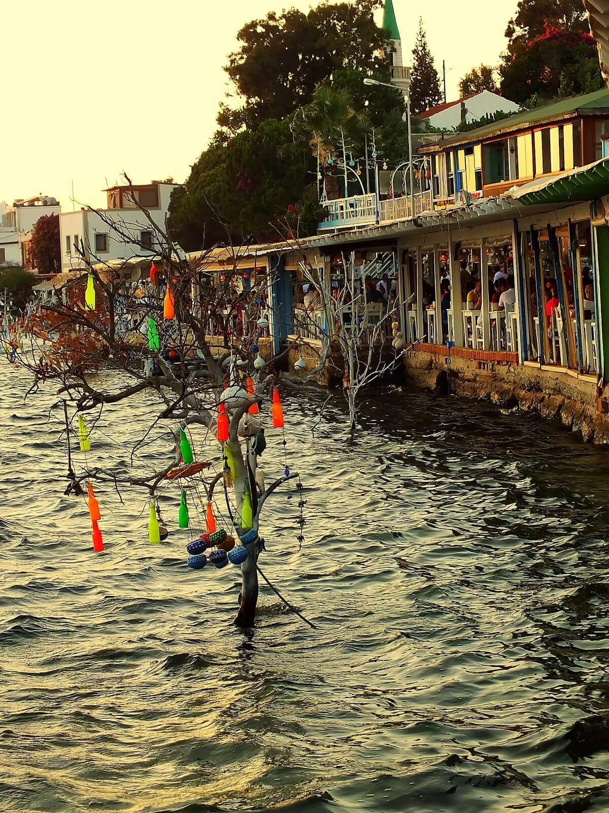 Balık Restoranları