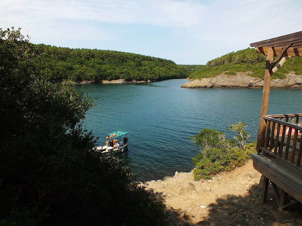  Sinop Hamsilos Koyu 