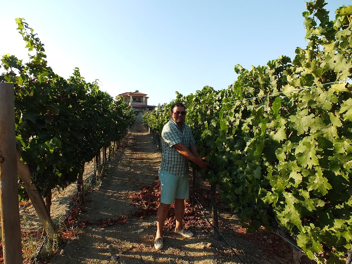 Datça'da Nerede Yenir? Datça Vineyard