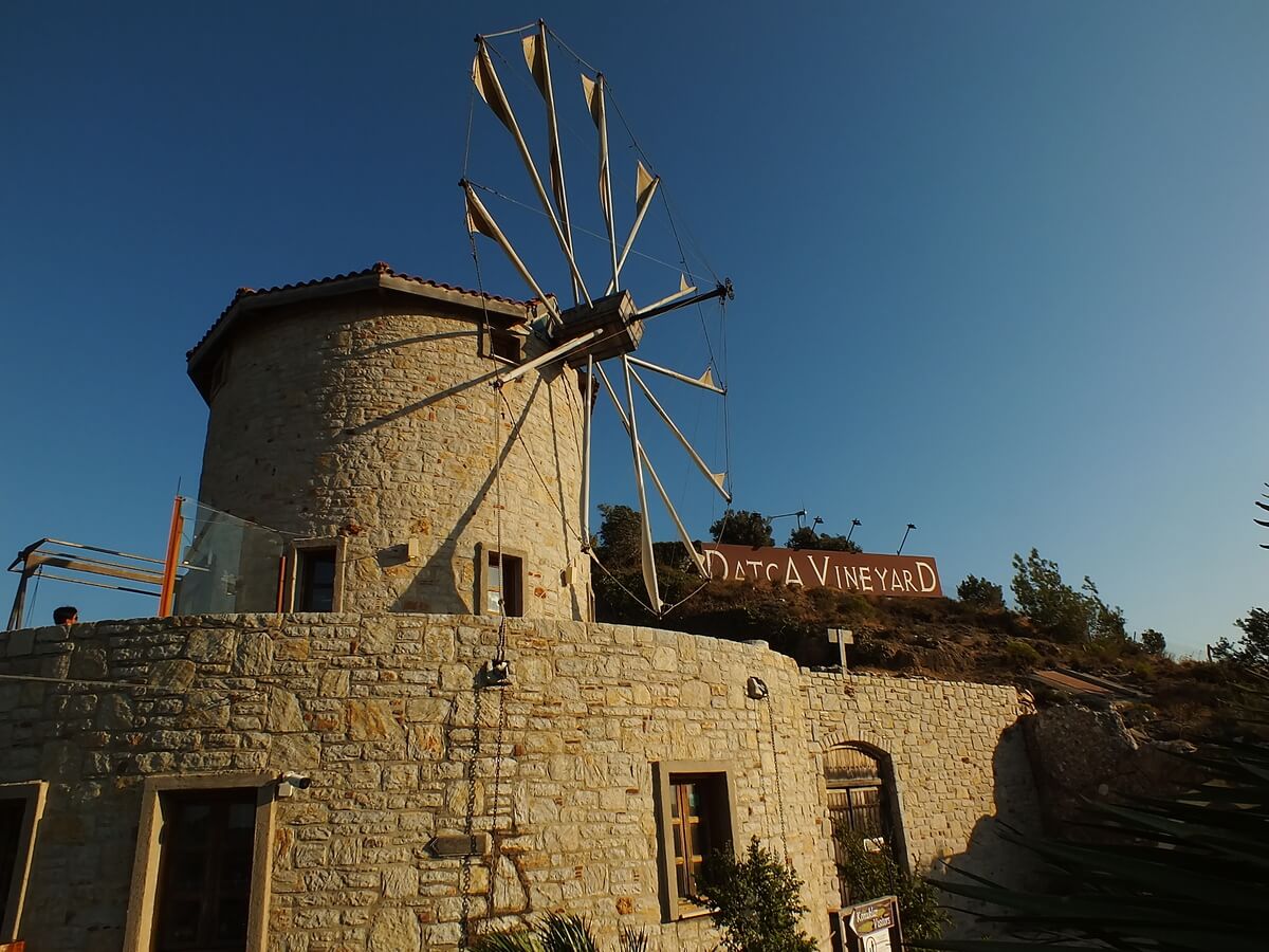 Datça Vineyard Değirmen