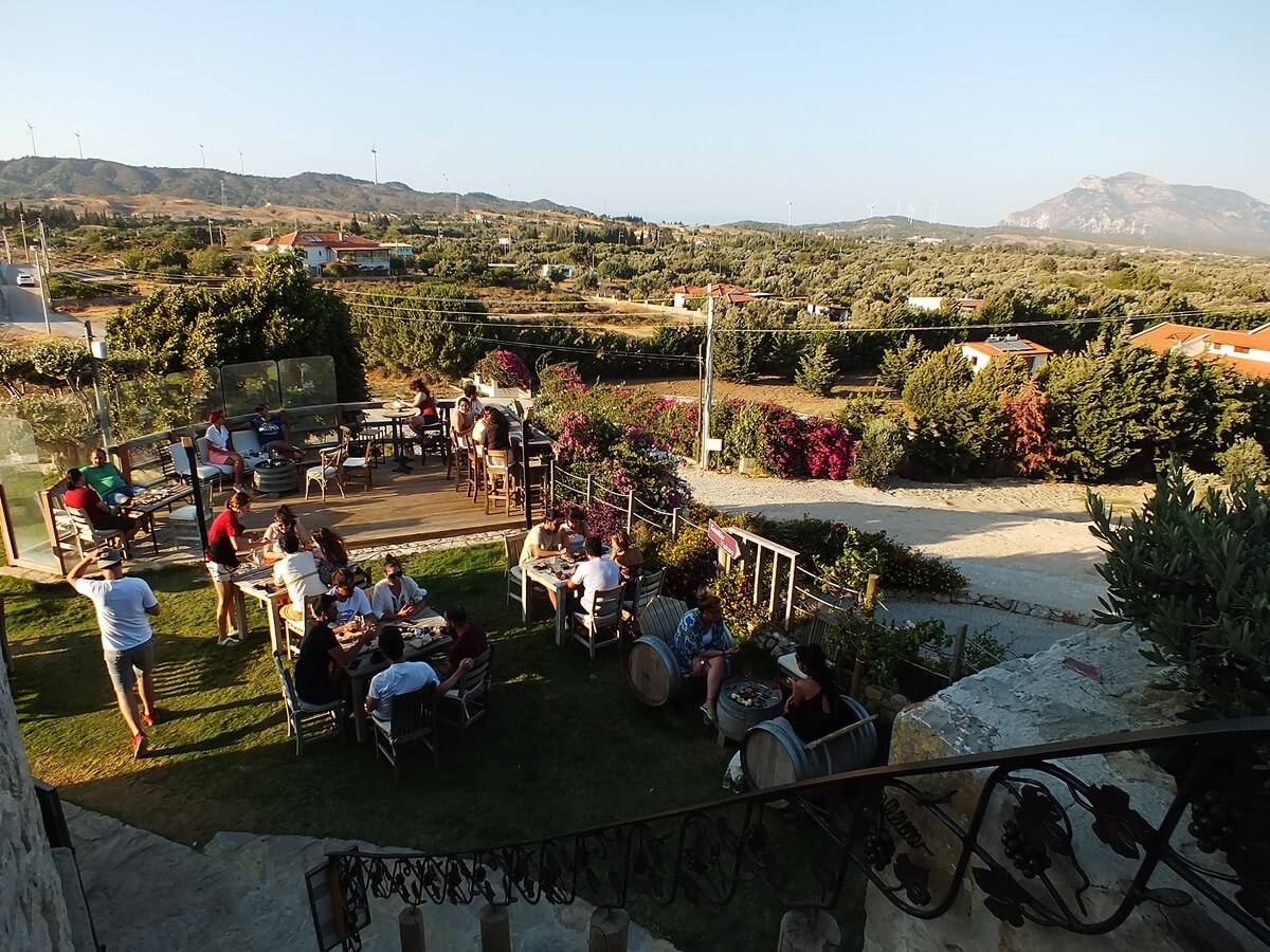 Datça Vineyard