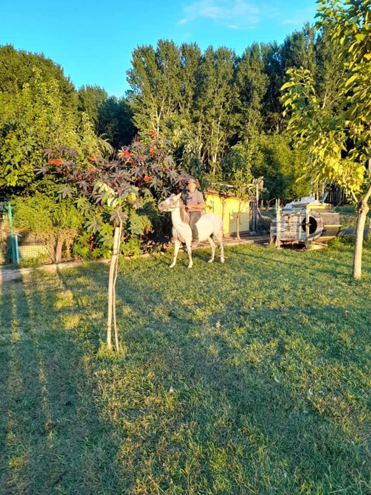 Edirne Doğal Yaşam Çiftliği