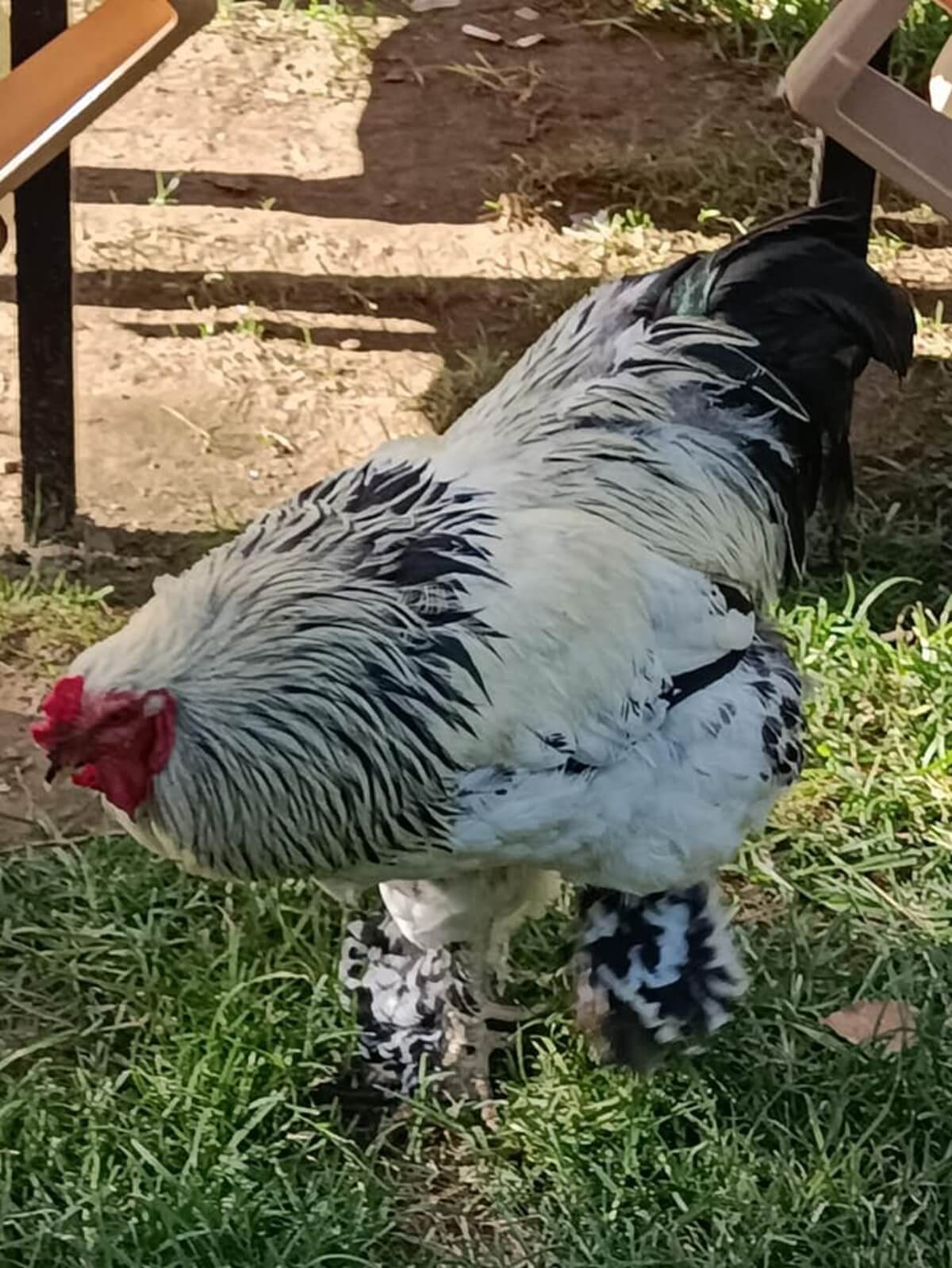 Edirne Doğal Yaşam Çiftliği