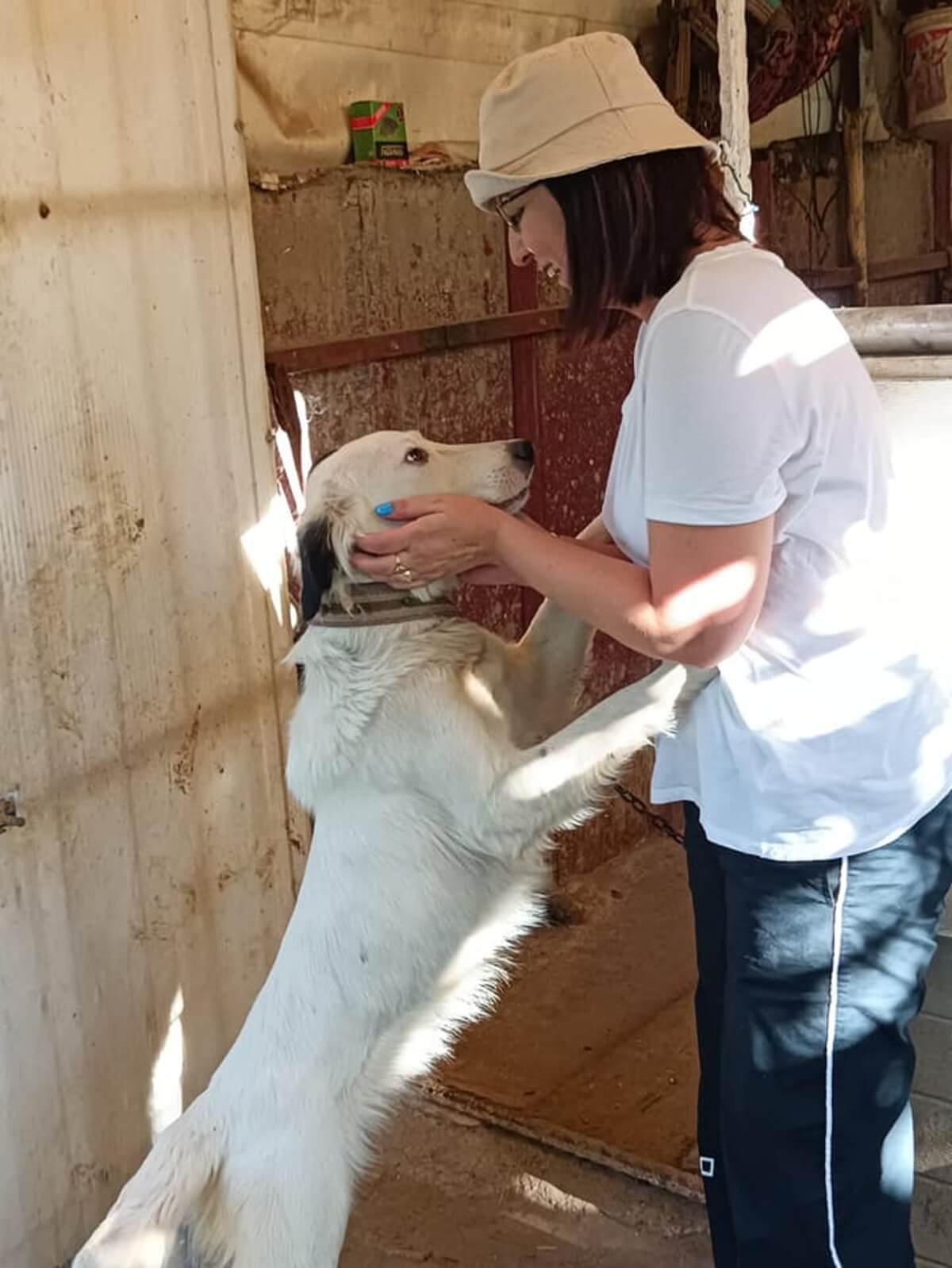 Edirne Doğal Yaşam Çiftliği