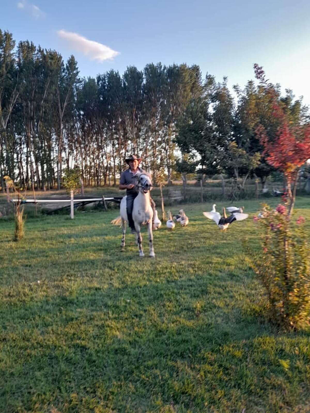 Edirne Doğal Yaşam Çiftliği