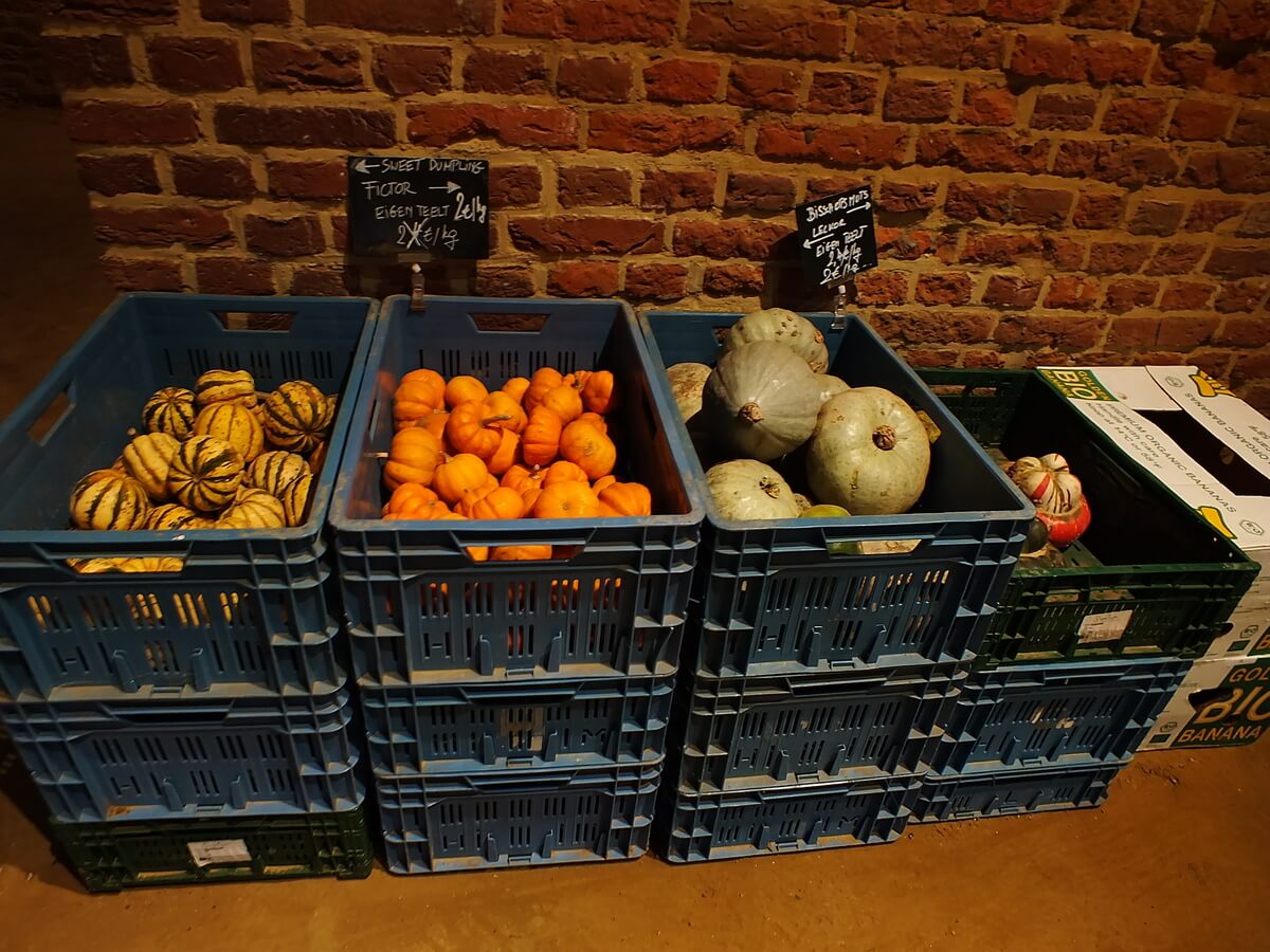 Abdij van Park De Wikke