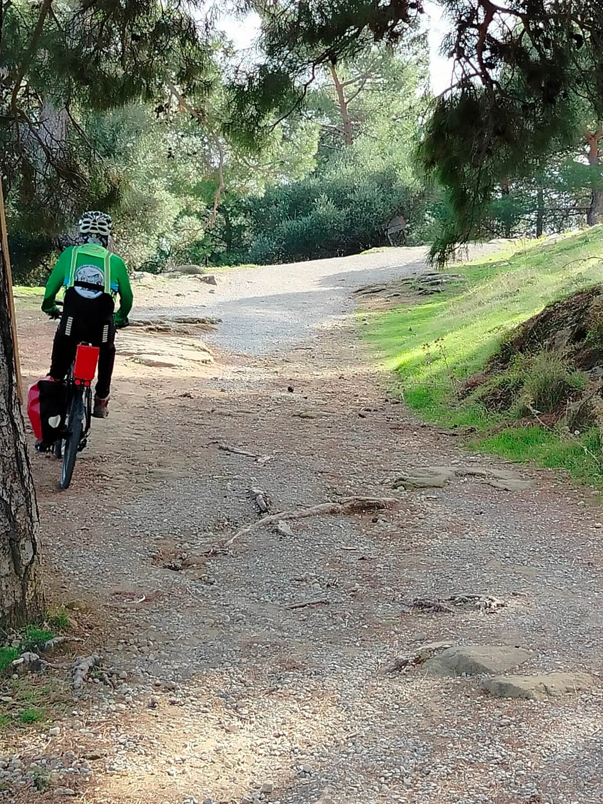 Kışın Zeus Altarı