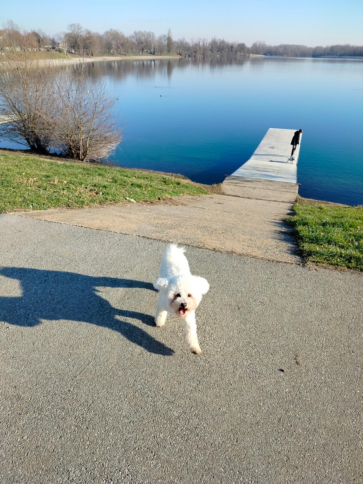 Jarun Gezisi Veliko jezero