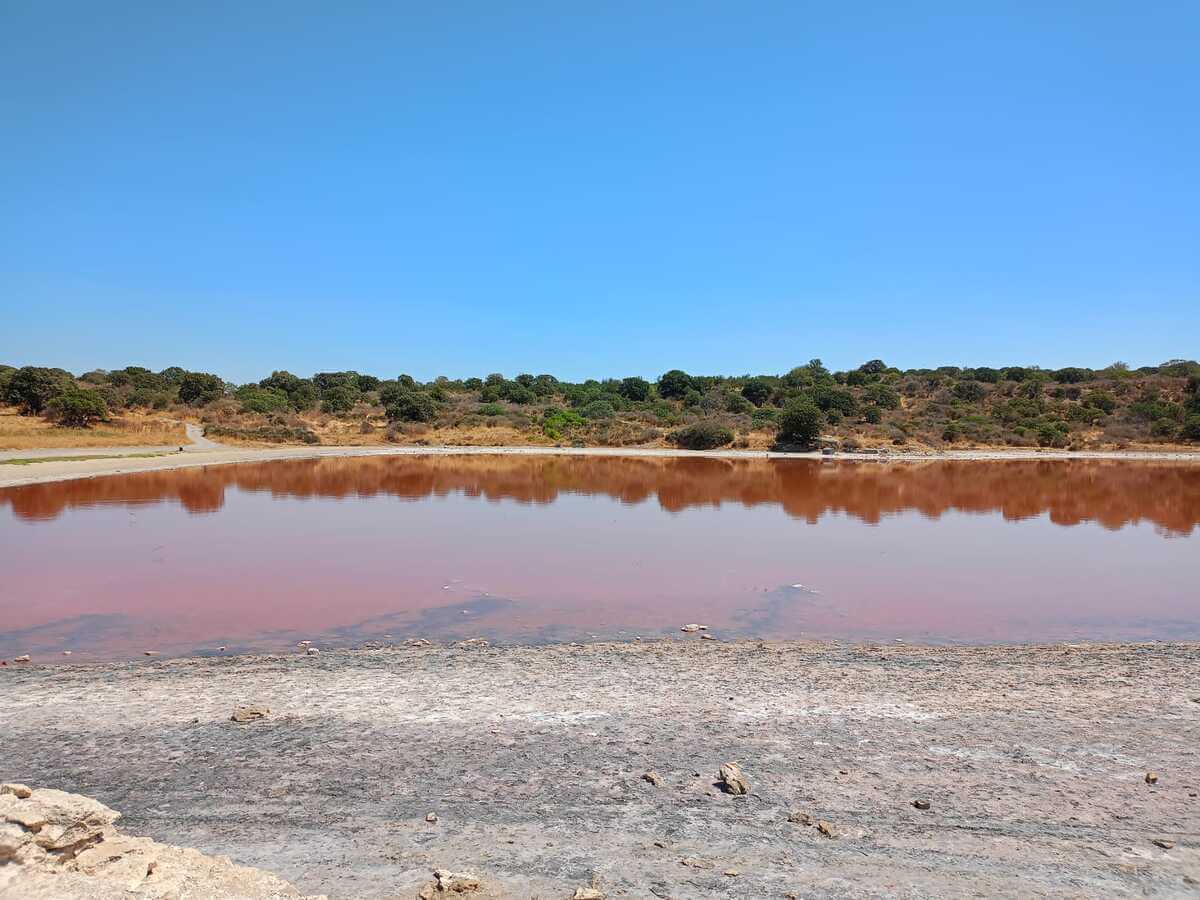 Pembe Göl